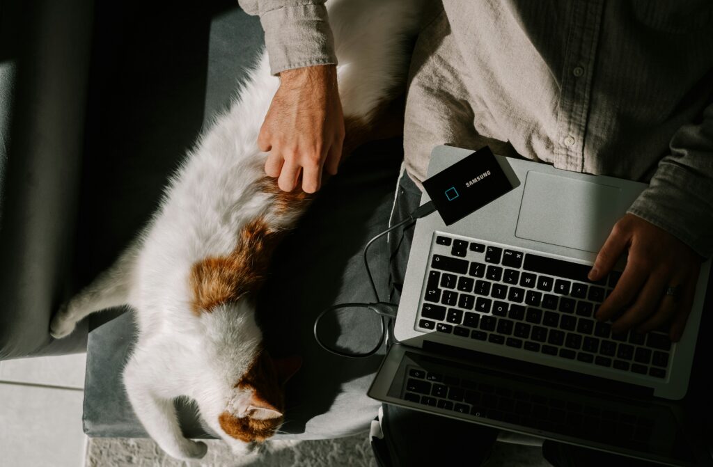 Les Meilleurs Sites de Freelance : Guide Complet pour les Indépendants