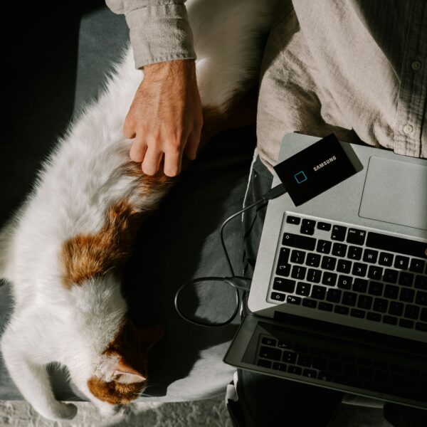 Les Meilleurs Sites de Freelance : Guide Complet pour les Indépendants Les Meilleurs Sites de Freelance : Guide Complet pour les Indépendants
