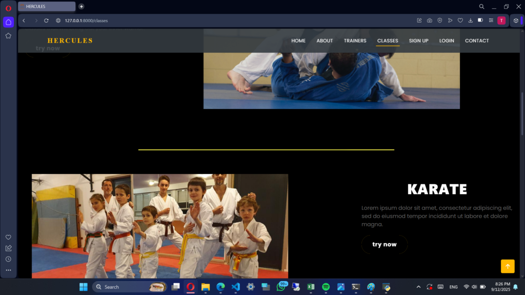 Build responsive and modern websites (business websites, portfolios, blogs, e-commerce). - portfolio - 2