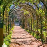 Adyan jardinire - Rabat