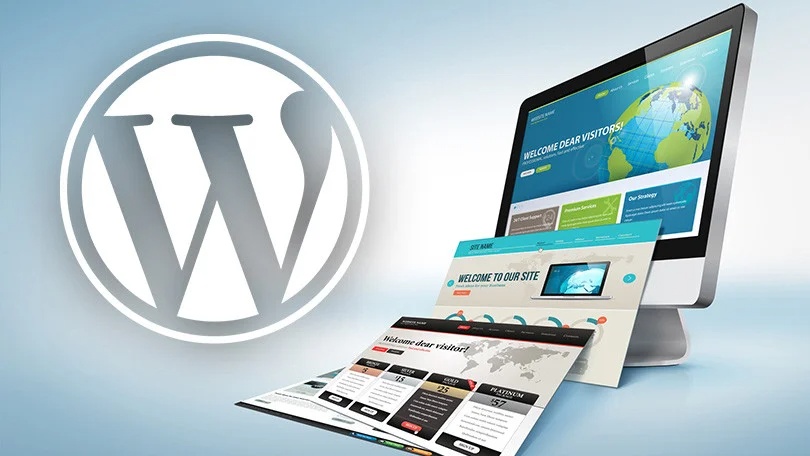 Développeur WordPress Expert – Création de sites sur-mesure - portfolio - 0