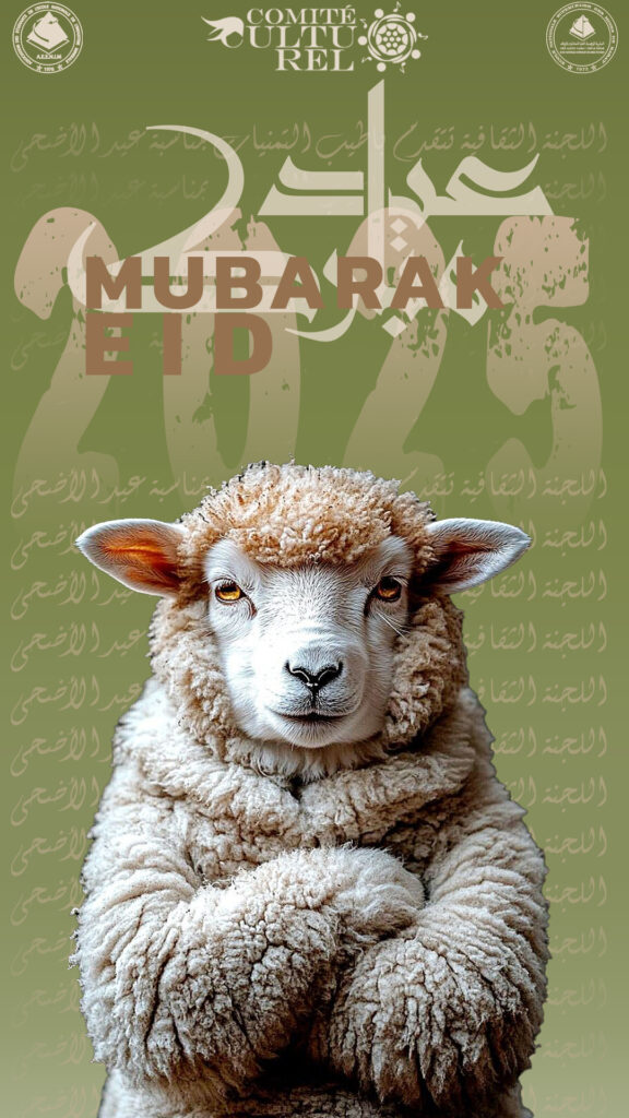 MOUHIEDDINE AMEJOUD - portfolio - 1