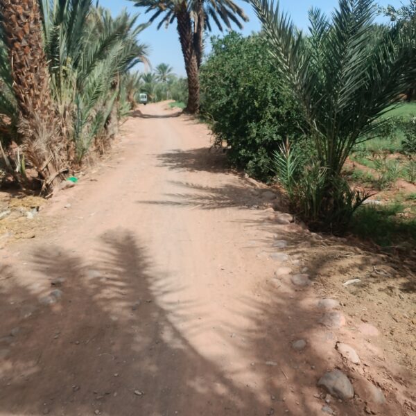 Ysf El bouni
