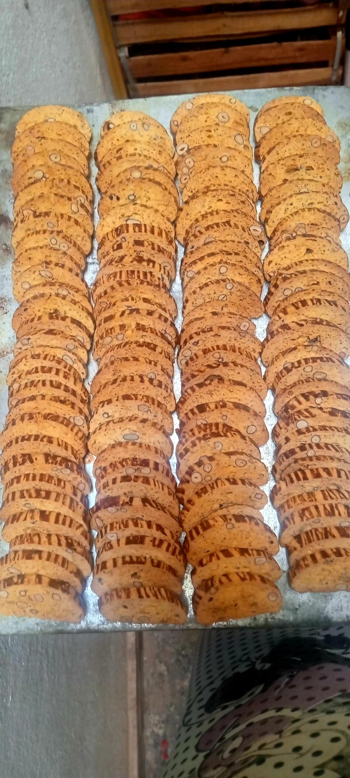 منال  ناجي 