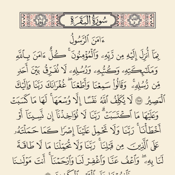وئام بن قاسم