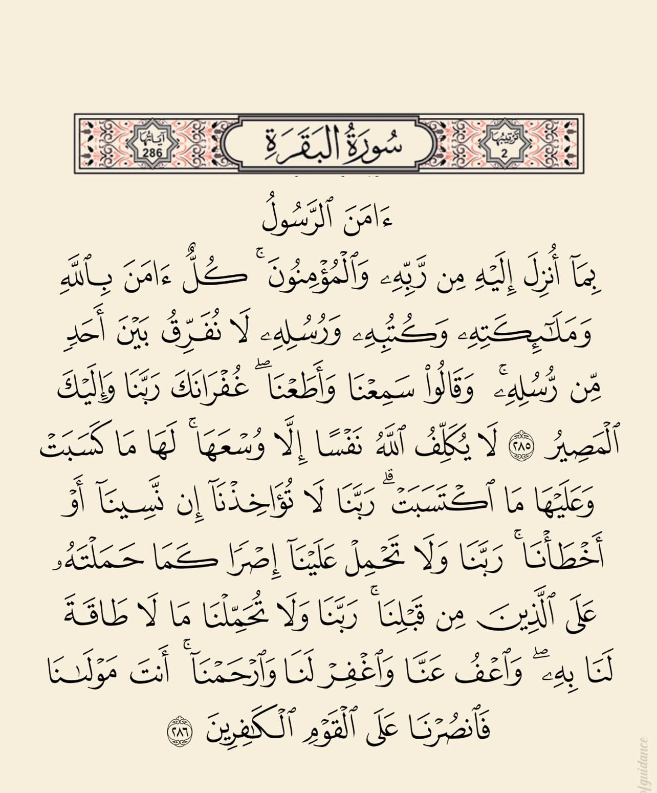 وئام بن قاسم