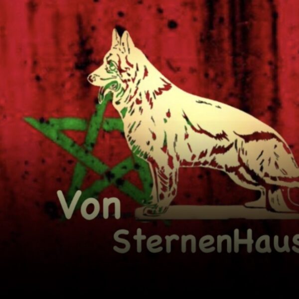 Von SternenHaus 