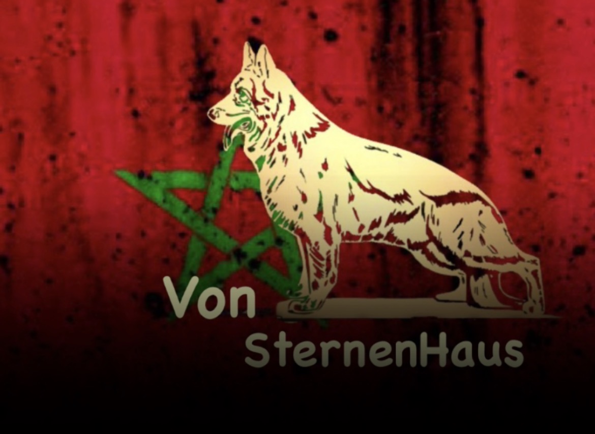 Von SternenHaus 