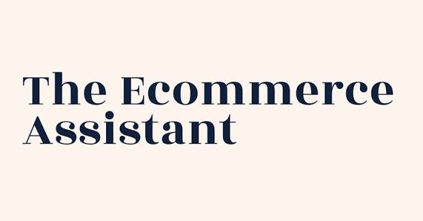 E com assistant  - portfolio - 0
