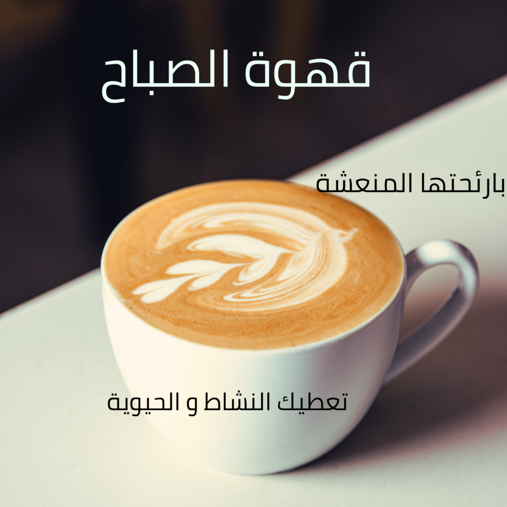تصميم منشورات إعلانية احترافية للسوشيال ميديا - portfolio - 0