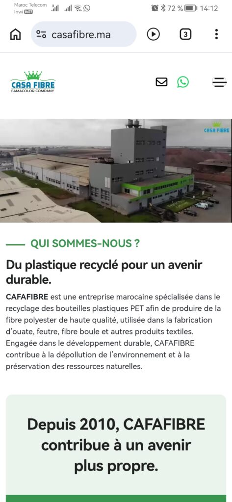 Développeuse web motivée, je propose la création de sites web modernes, simples et efficaces pour particuliers et entreprises. - portfolio - 1