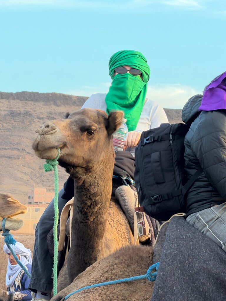 2-Day Zagora Desert Experience: Camel Trek & Berber Night - portfolio - 1