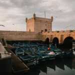 Essaouira Day Trip: Port, Medina, Seafood & Argan Forest
