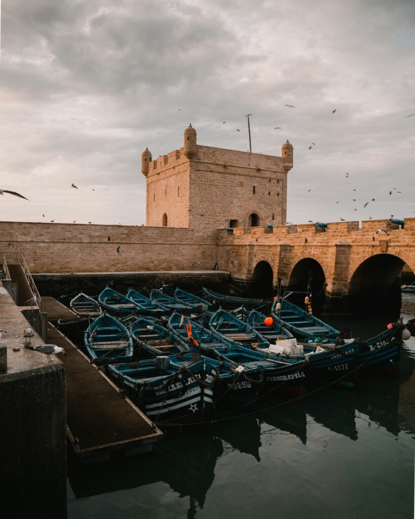 Essaouira Day Trip: Port, Medina, Seafood & Argan Forest - portfolio - 0