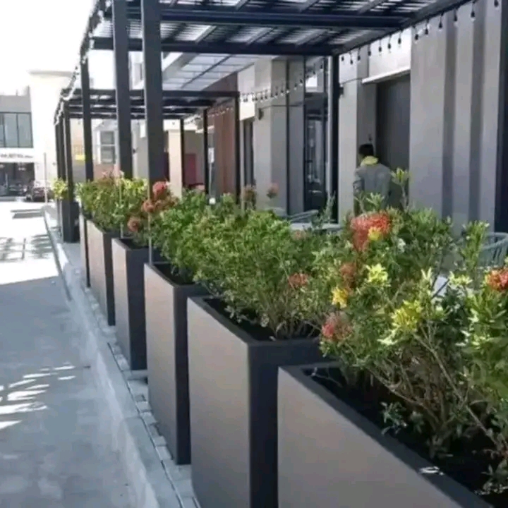 Ali Ait hsaine