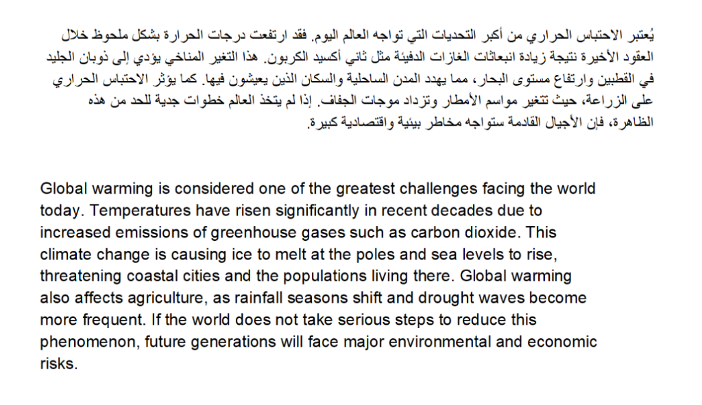 Fast and Reliable English/Arabic Translator - portfolio - 1