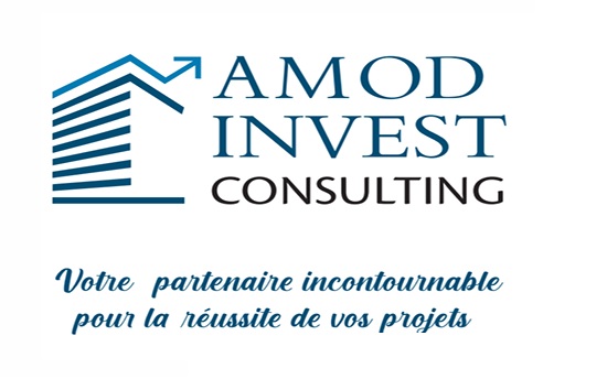 AMOD INVEST CONSULTING - cover