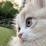 إيمان  مجدوب - الدار البيضاء