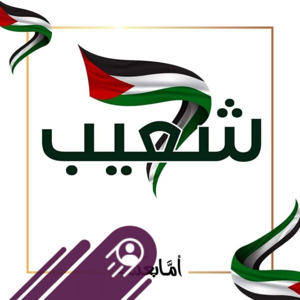 Chouaib Laaouissi