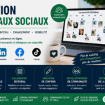 Gestion des Réseaux Sociaux & Stratégie de Contenu