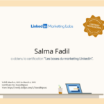Certification sur les notions de base LinkedIn Marketing Solutions