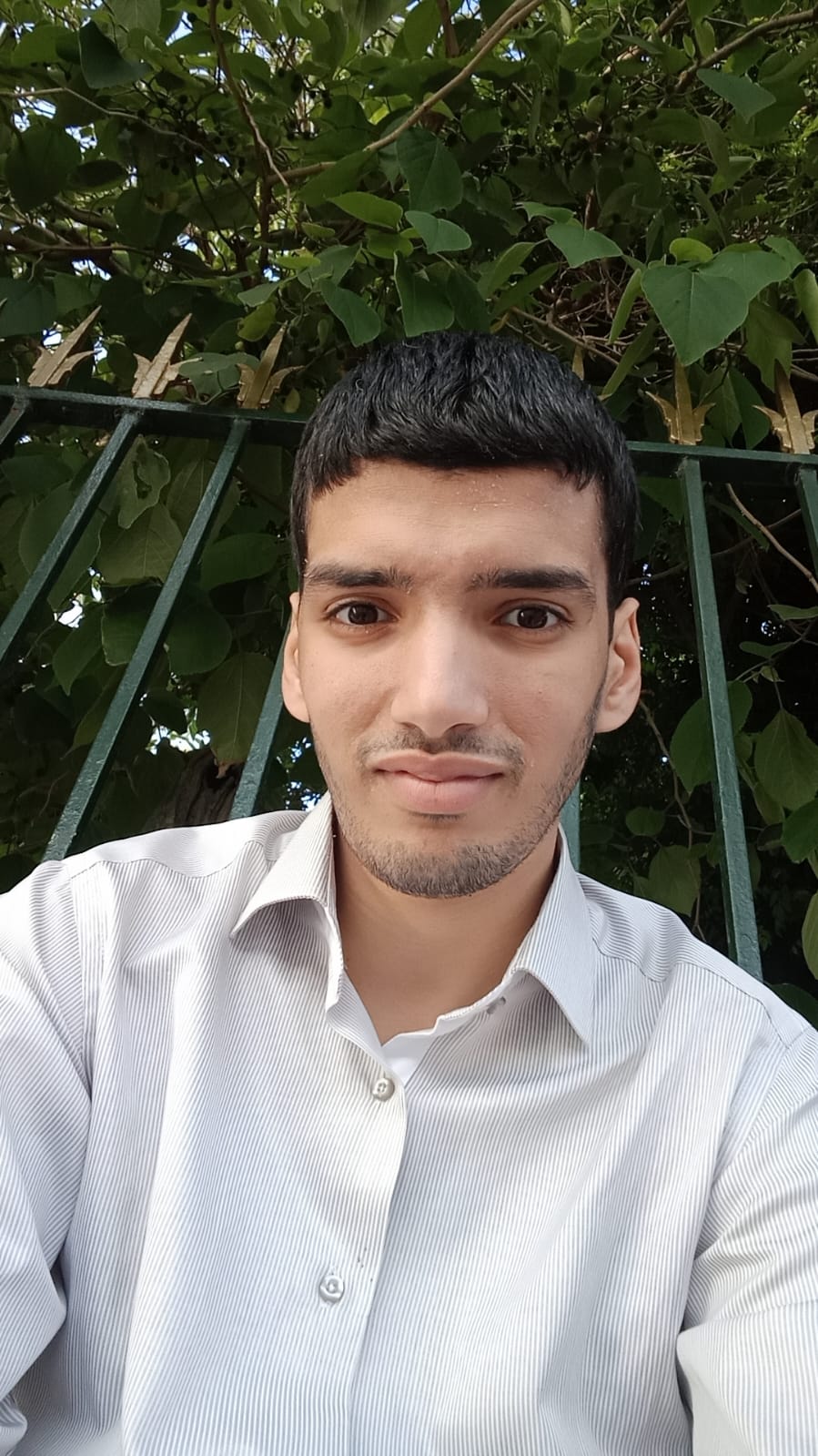 Mohammed Fadel Nanna