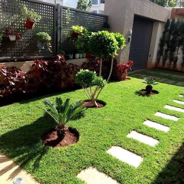 STE NADIR JARDIN - portfolio - 2