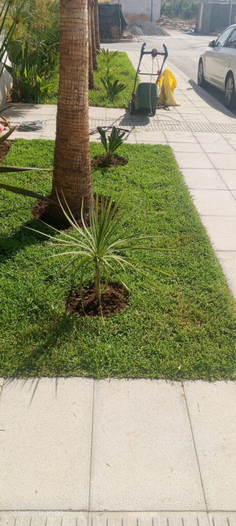 STE NADIR JARDIN - portfolio - 0