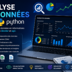 Je vais analyser vos données avec Python et créer des visualisations professionnelles