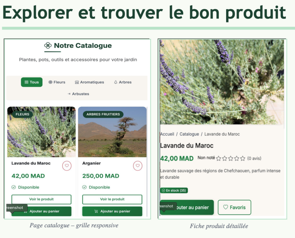 Refonte et modernisation de votre site web (design + performance)