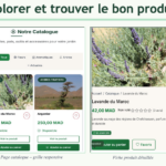 Refonte et modernisation de votre site web (design + performance)