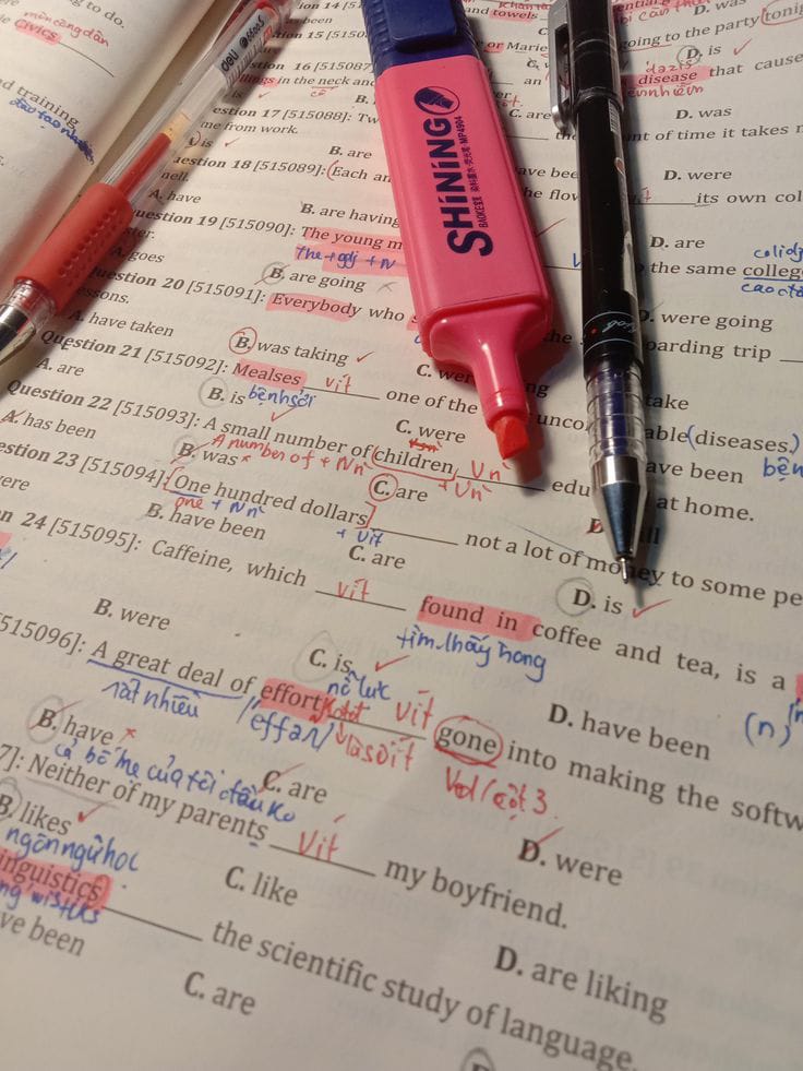 Professional English & Arabic Tutor and Content Writer